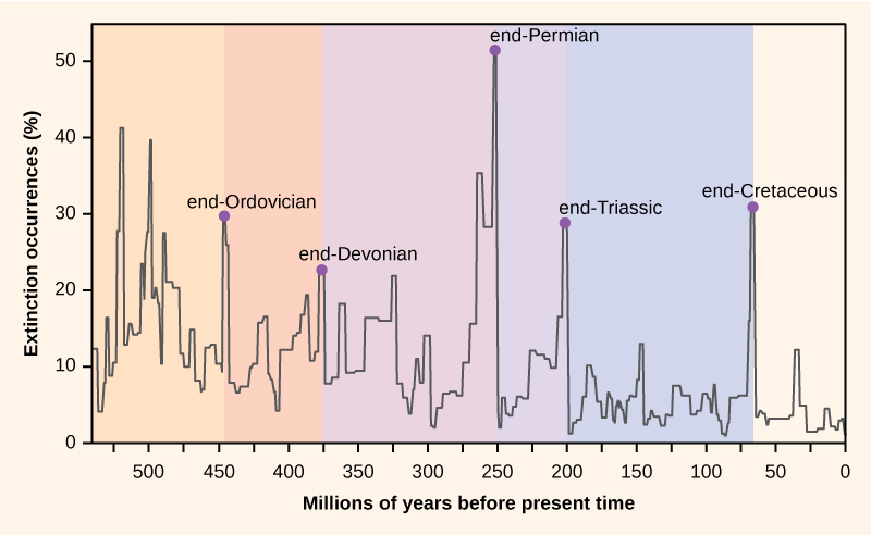 Mass extinctions, from Openstax College