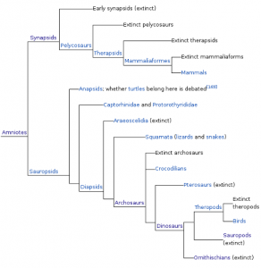 The Mesozoic and Cenozoic Eras — reptiles and mammals | It's a natural ...