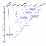 Cheat sheet | It's a natural universe